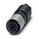 Phoenix 1423988      QPD P3PE2,5 9-14 BK 