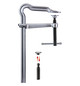 Ganzstahl-Schraubzwinge OMEGA 2K-Heft Spannweite 250 mm, Bessey GM25ZK