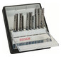 Stichsägeblatt-Set T-Schaft, 10-tlg Bosch Robust Line Metal Expert