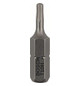 Security-Torx-Schrauberbit Extra-Hart T10H, 25 mm Bosch 2.608.522.009